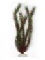 Preview: Kunststoffpflanze "Egeria sp." ca. 50 cm