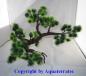 Preview: Kunststoffpflanze Bonsai Baum ca. 35 x 25 cm