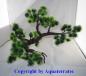 Preview: Kunststoffpflanze Bonsai Baum ca. 16 x 10 x 10cm