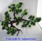 Preview: Kunststoffpflanze Bonsai Baum ca. 35 x 25 cm