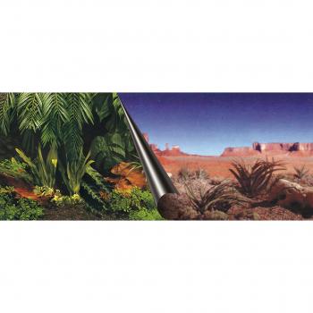 Rückwandfolie Jungle + Dessert 40x80 cm
