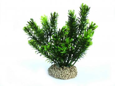 Kunstpflanze "Canadensis" Grün, ca 14cm