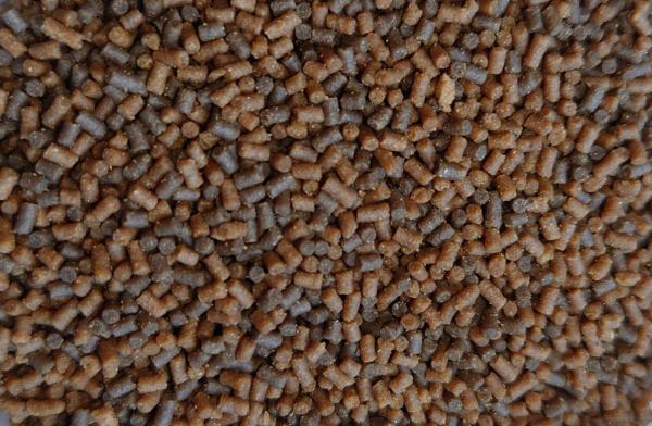 Premium Aufzucht- Pellets 170 g / (ca.250ml) 1,3 - 1,5mm für sehr junge Axolotl